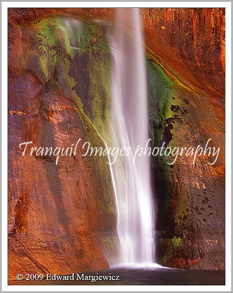 450579   Lower Calf Creek Falls vertial close up